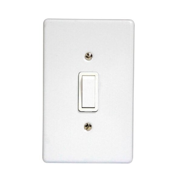 4X2 1L 2W Switch Complete Blister