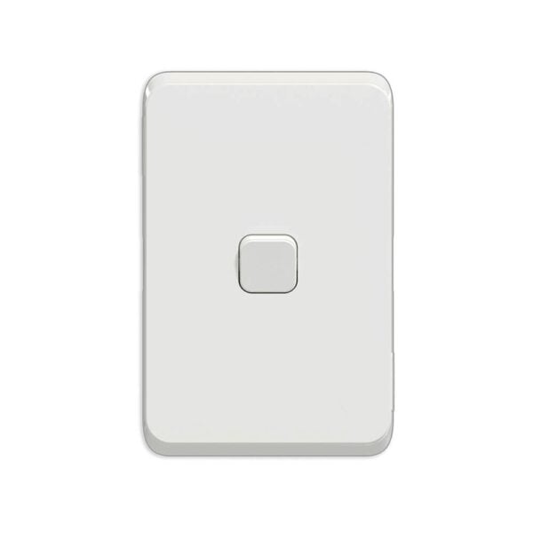 Switch 1L 1W with skin 10AX 250V