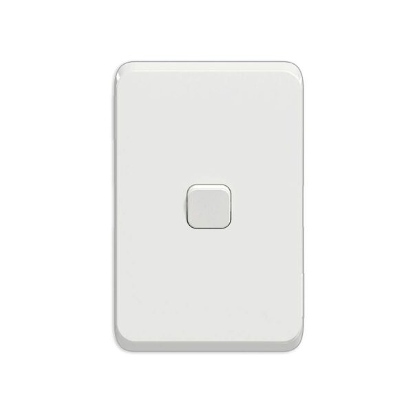 Switch 1L 2W with skin 10AX 250V