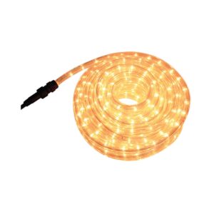 Rope Light 10m Clear 8 Funct Cntrl H38CL