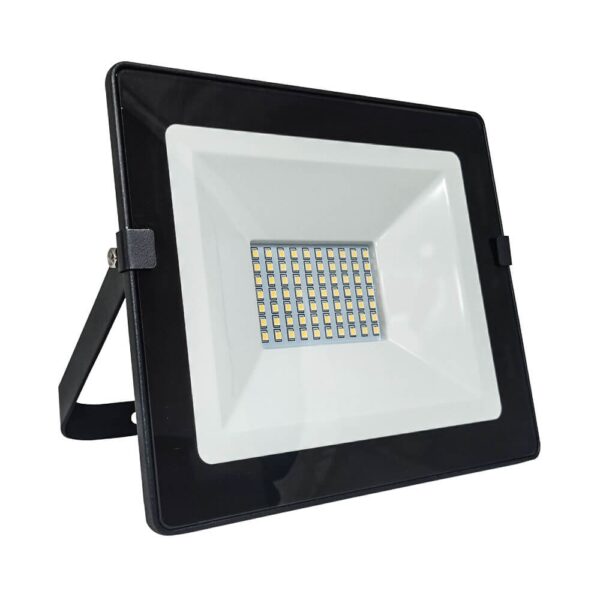 Eurolux 50w Led Flood + D/night