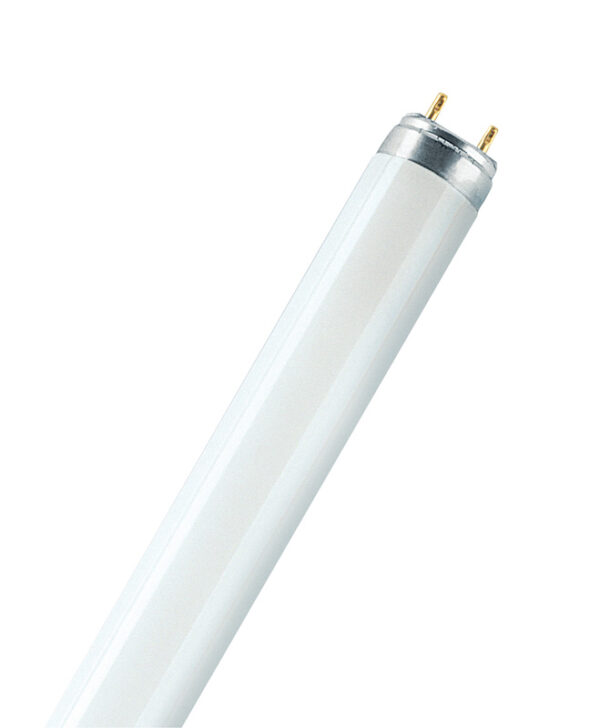 L 58W/76 10X1                      OSRAM
