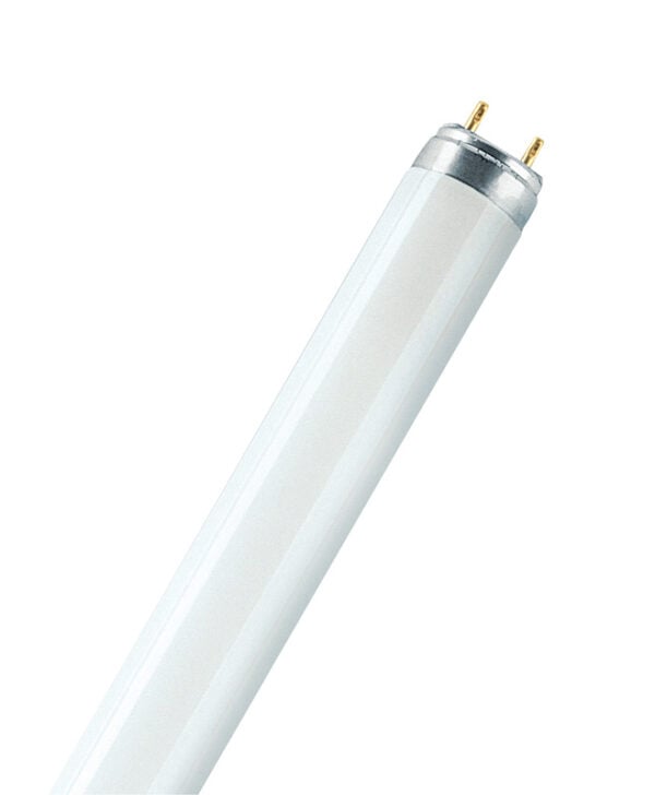 L 36W/76 10X1                      OSRAM
