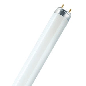 L 36W/880 SKYWHITE 25X1 LF         OSRAM