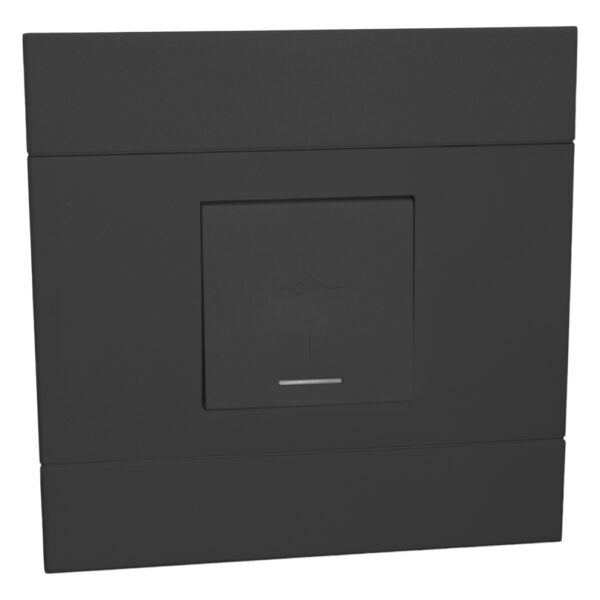 Veti - 60A Double Pole Isolator (2VC2160T)