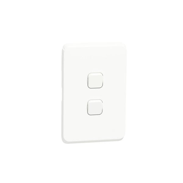 Switch 2L 1W with skin 10AX 250V