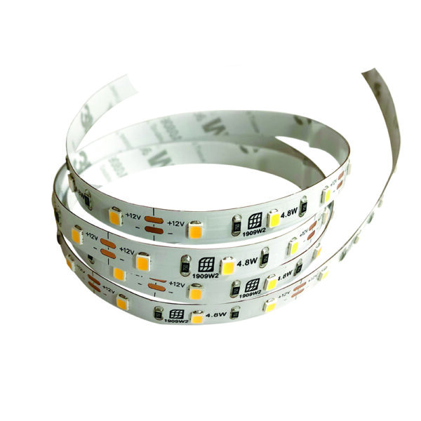 Pioled 4.8W 12V IP20 Strip 6000K - 5M 60 LED/M - Image 2