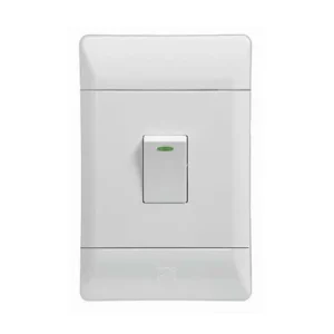 CBI PVC Isolator Switch 2P 30A 4 x 2 - White